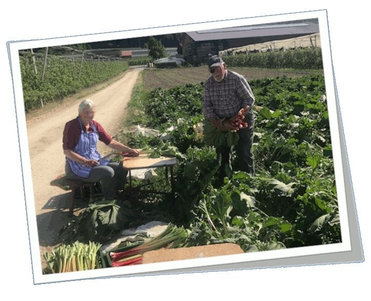 Ferienwohnung Obsthof Häberle