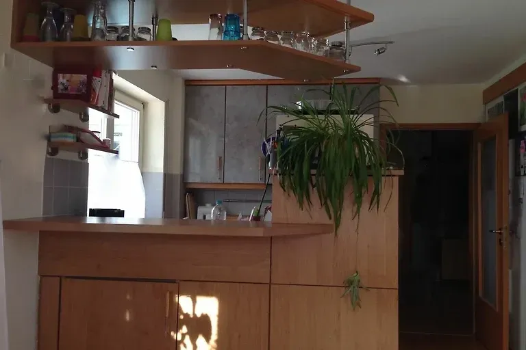 Im Baumgarten (große FeWo in Eriskirch)