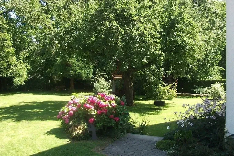 Blick in den Garten
