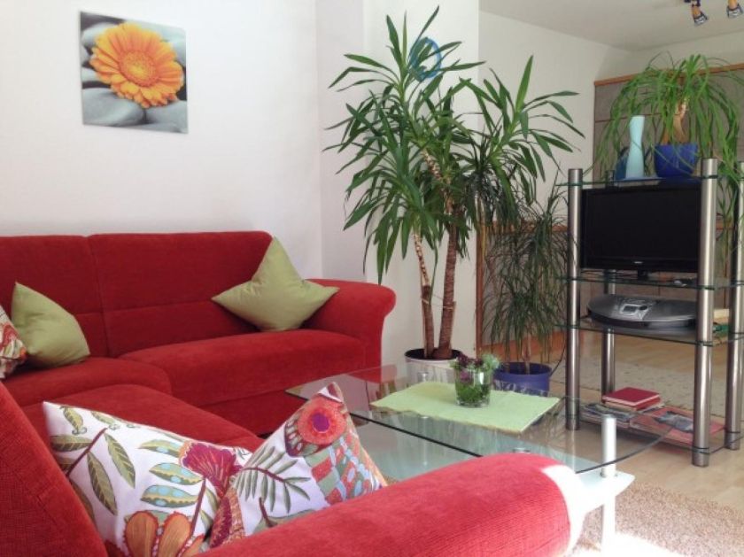 Im Grünen (kleine FeWo in Eriskirch)