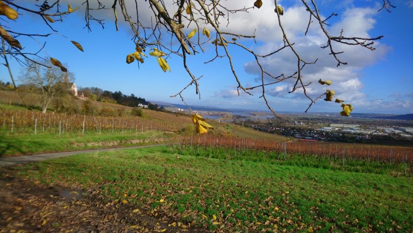 Ferienwohnung Block-Knaul im Nahetal