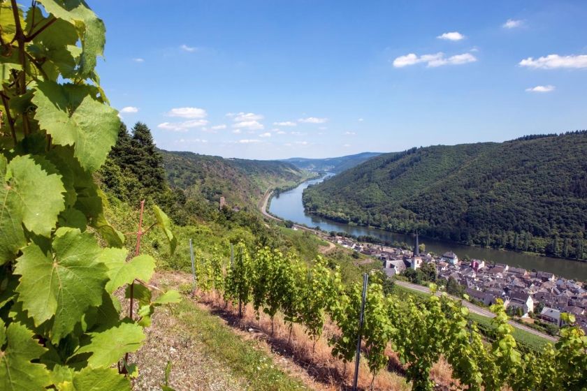 Ferienwohnung Zum Moselsteig