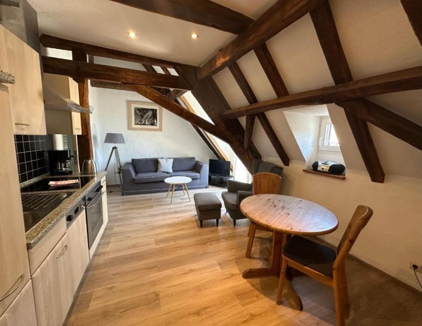 Mosel Ferienwohnung im Weingut Borchert – Springiersbacher Hof