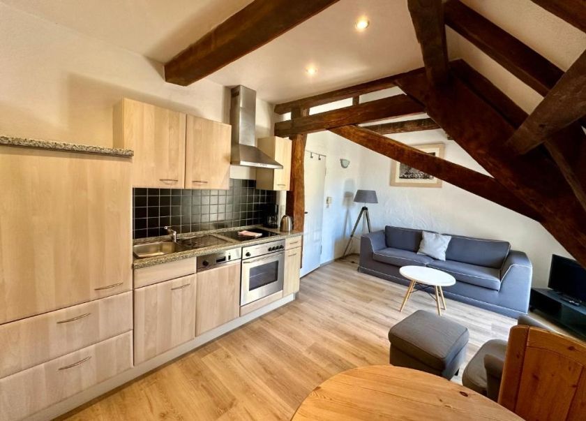 Mosel Ferienwohnung im Weingut Borchert – Springiersbacher Hof