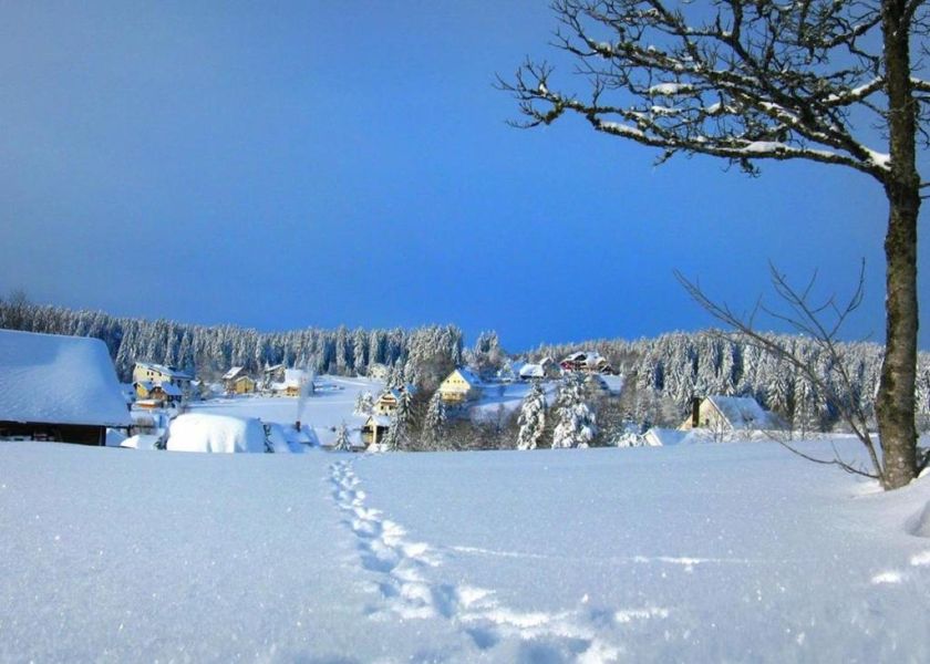 Ferienwohnung Landhaus Seiler