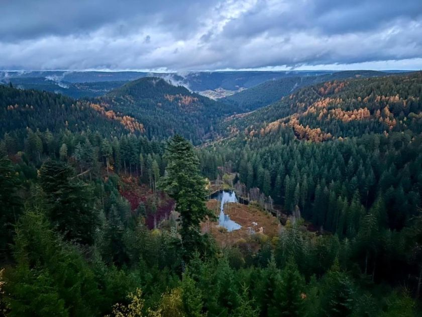 Ferienwohnung Tannenduft
