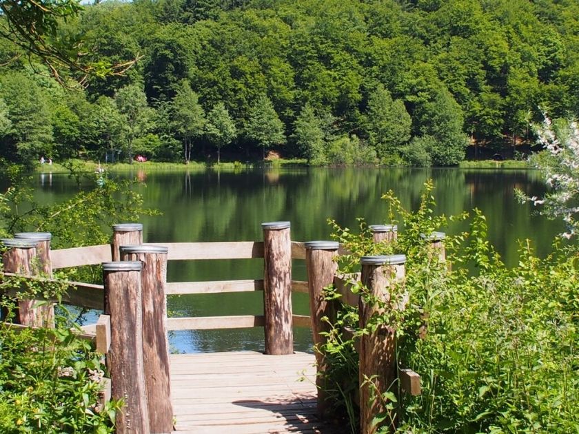 Ferienhaus Auf der Ebest