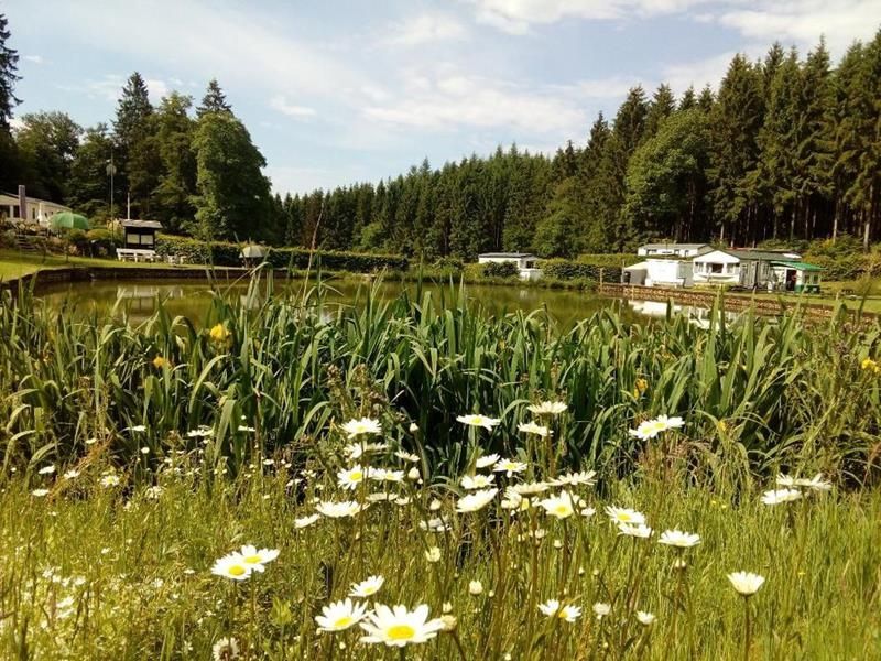 Camping La Hêtraie