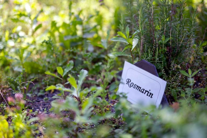 Hauseigener Kräutergarten - für frische Würze an unseren Speisen