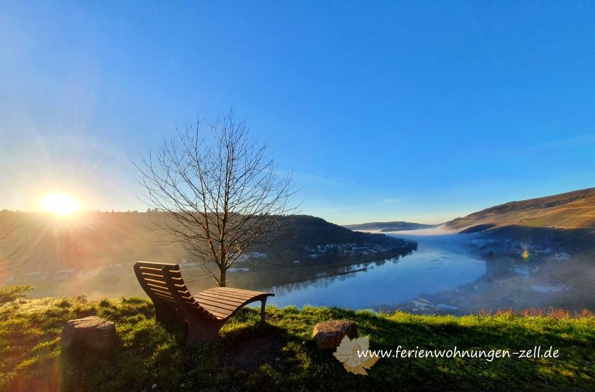 Fewo Hallenbach mit herrlichem Moselblick