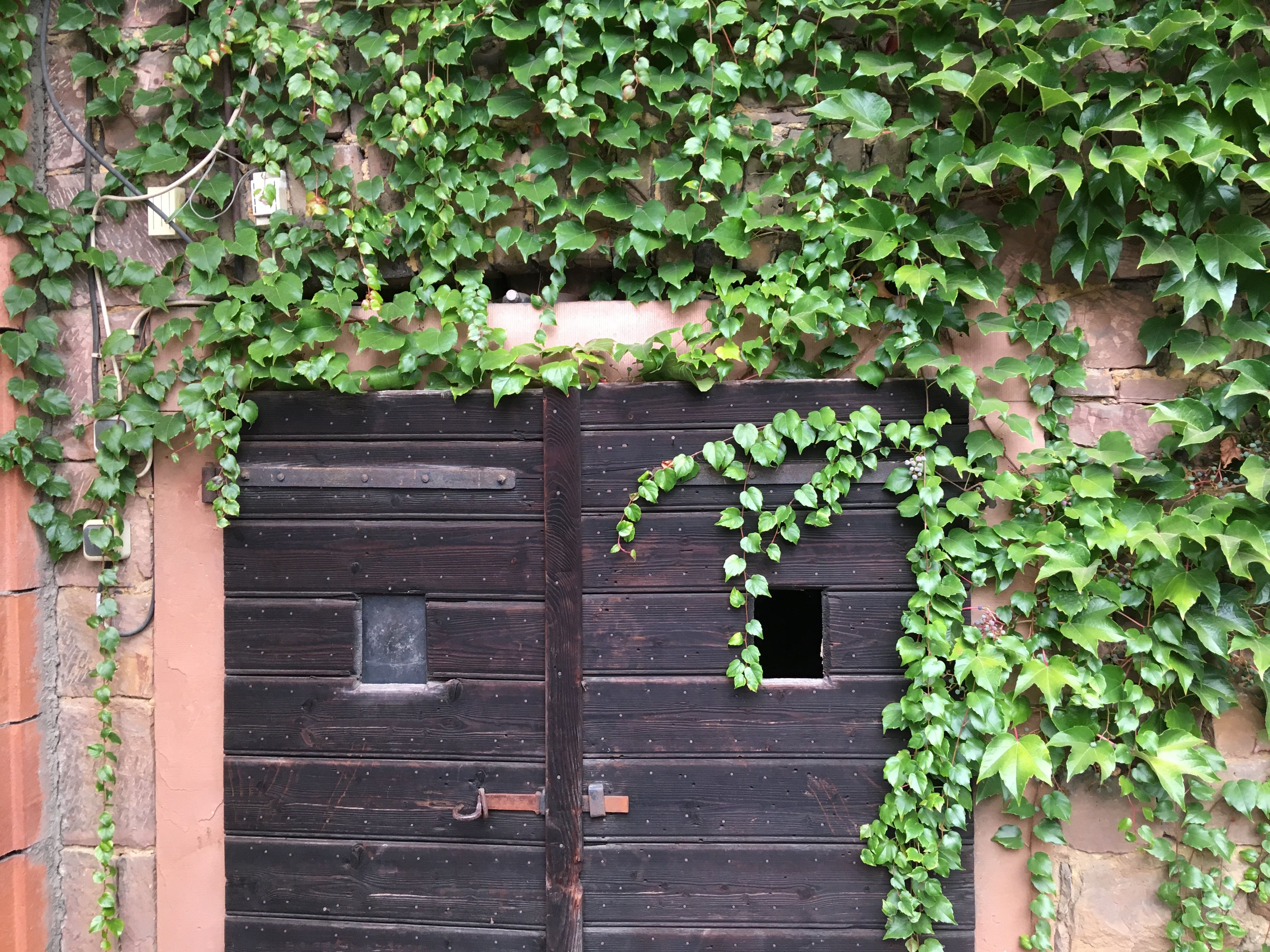 LandLust 2 - Ferienhaus Ensemble mit großem Innenhof