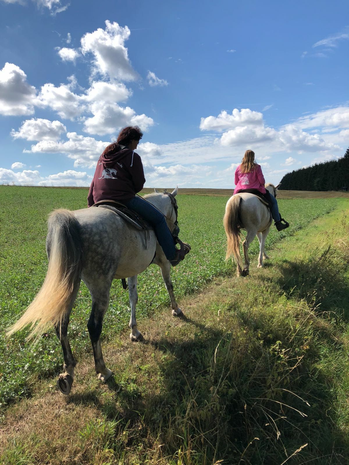 Schöne Aussicht von der Schönecker Burg