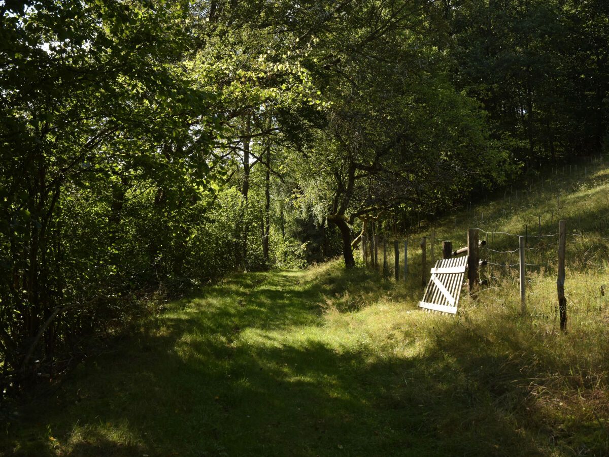 Ferienwohnung Brigitte Flörsbachtal