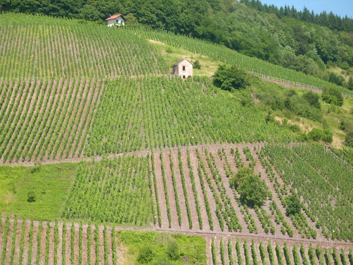 Ferienwohnung Zur Burg
