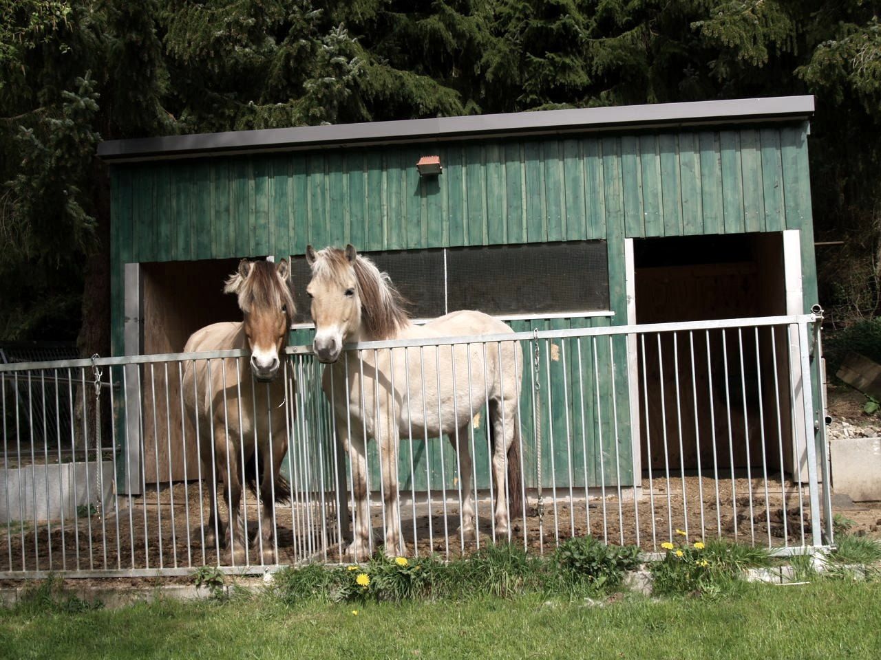 Ferienwohnung Hammer 1a
