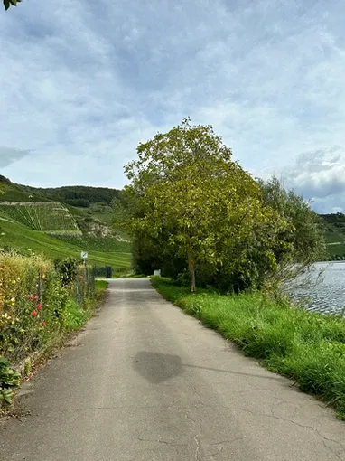 Ferienwohnung Moseldiamant