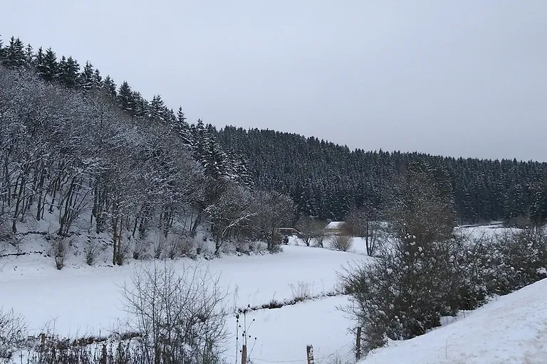 Appartement Igel im Haus Eifelstein