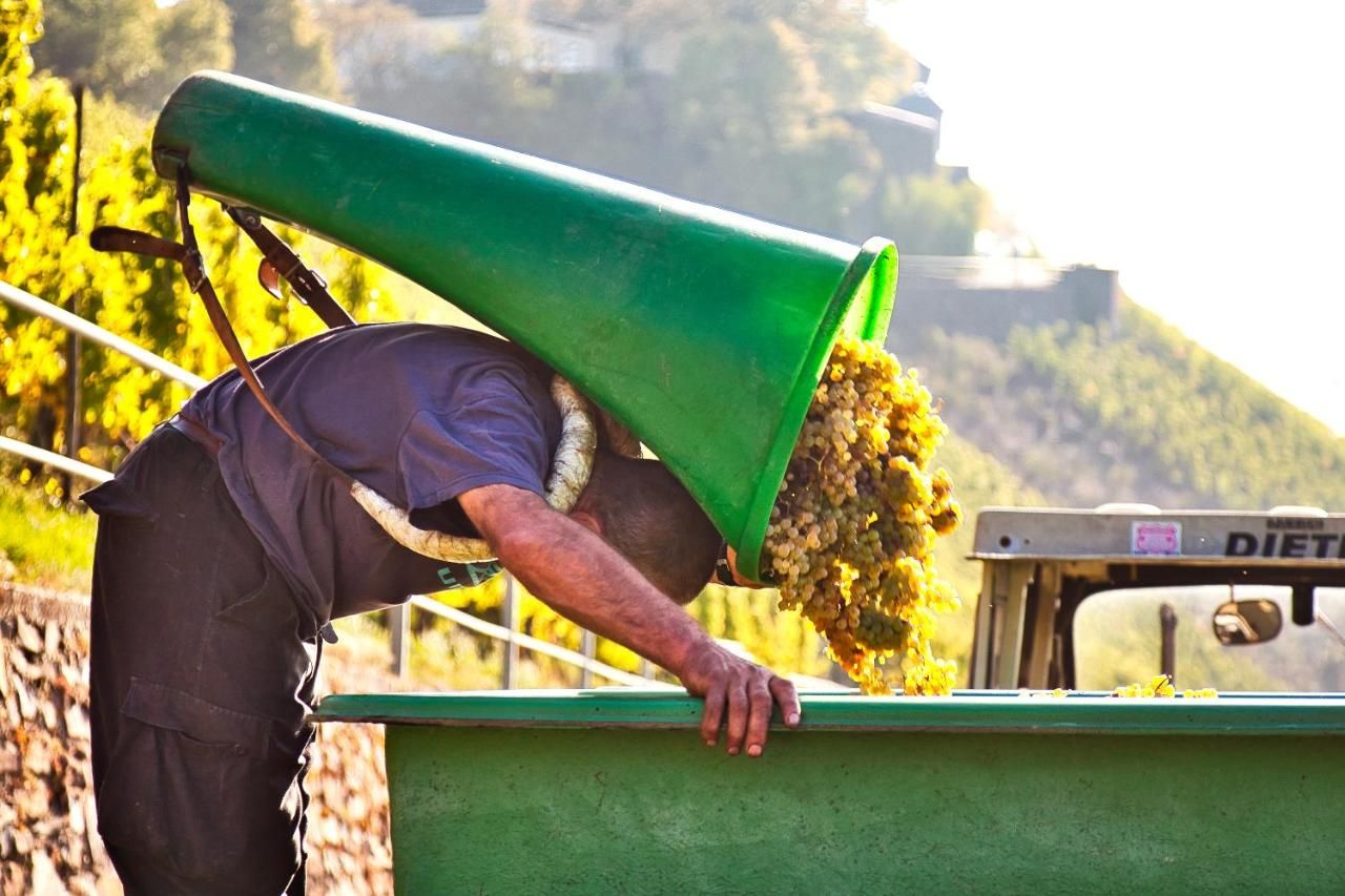 Hotel-Weinhaus Mayer