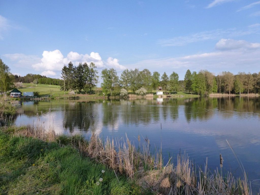 Hammerschmiedesee – Campingplatz und Teichgut