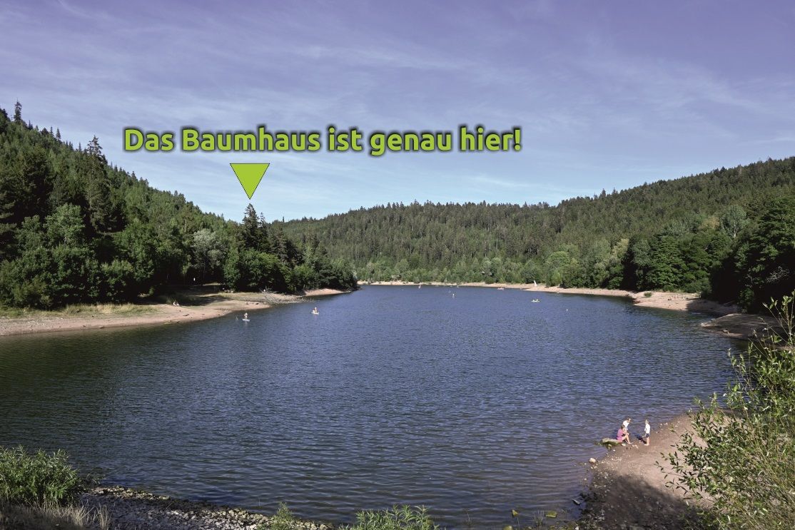 Baumhaus Erzgrube Seeblick