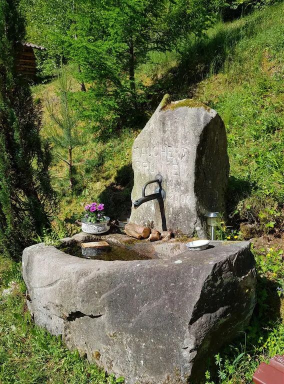Ferienwohnung Sommerbergparadies