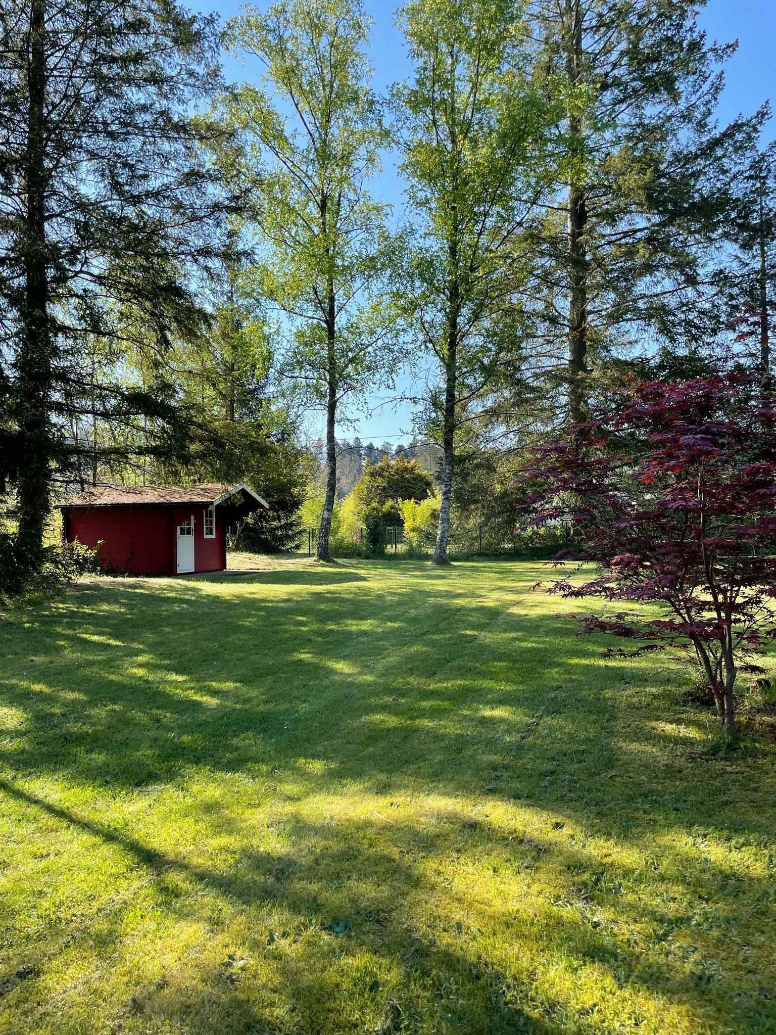 Blick in den Garten 21a