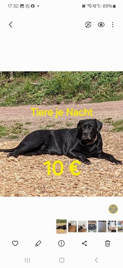 Ferienwohnung Bohnert-Arias