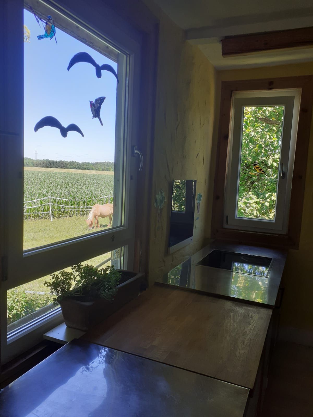 Ferienhaus am Ponyhof