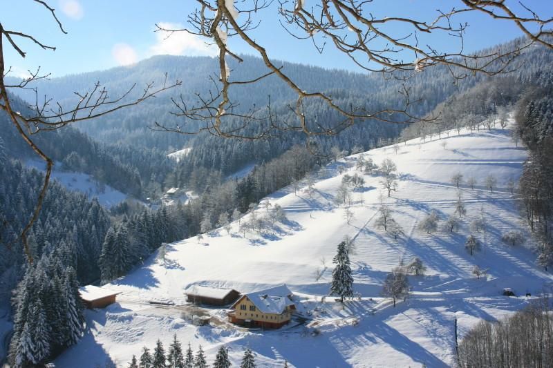 Ferienwohnungen Bierpeterhof