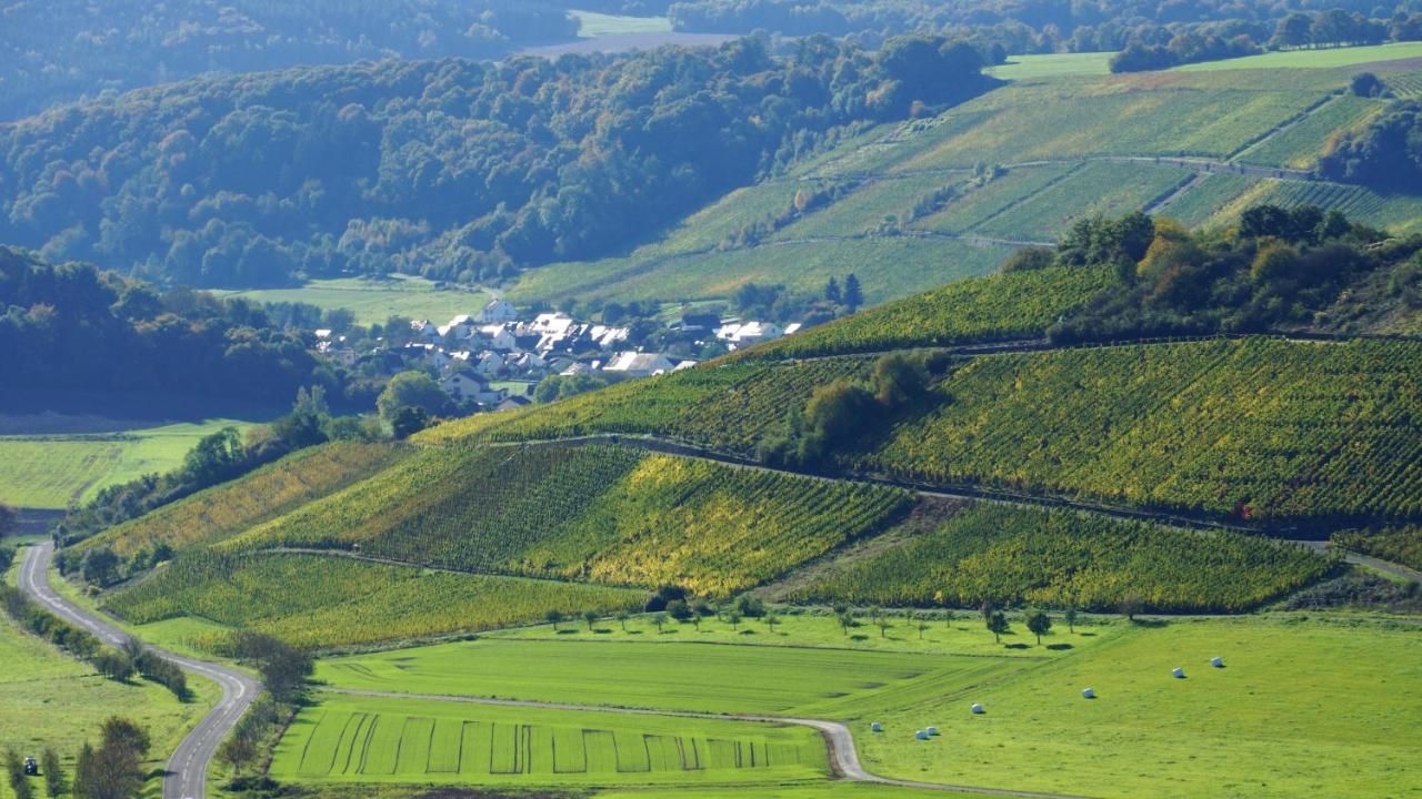 Ferienhaus Altes Winzerhaus Am Frohnbach am Weingut Gorges-Müller