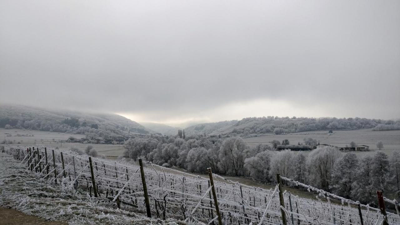 Ferienhaus Altes Winzerhaus Am Frohnbach am Weingut Gorges-Müller
