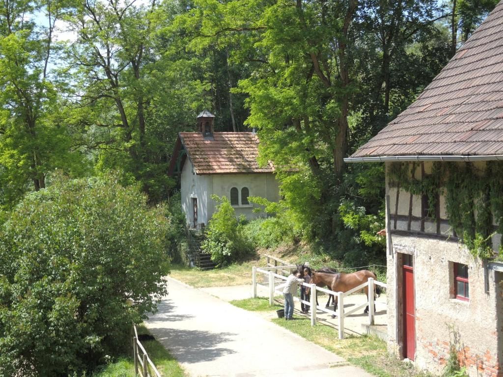 Ferienwohnung Dachsmühle - Natur und Tiere - Toll für Kinder und Wanderer