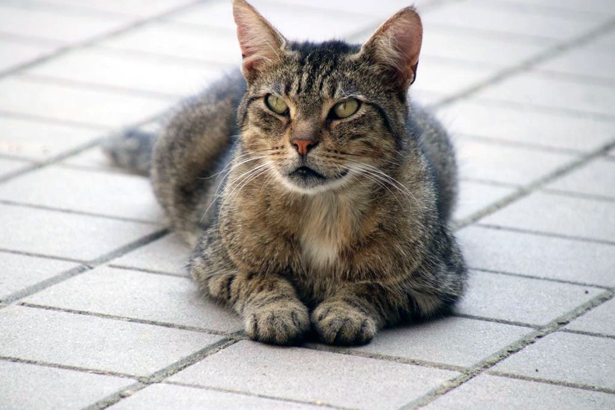 Ferienwohnung Ferienhof Engel