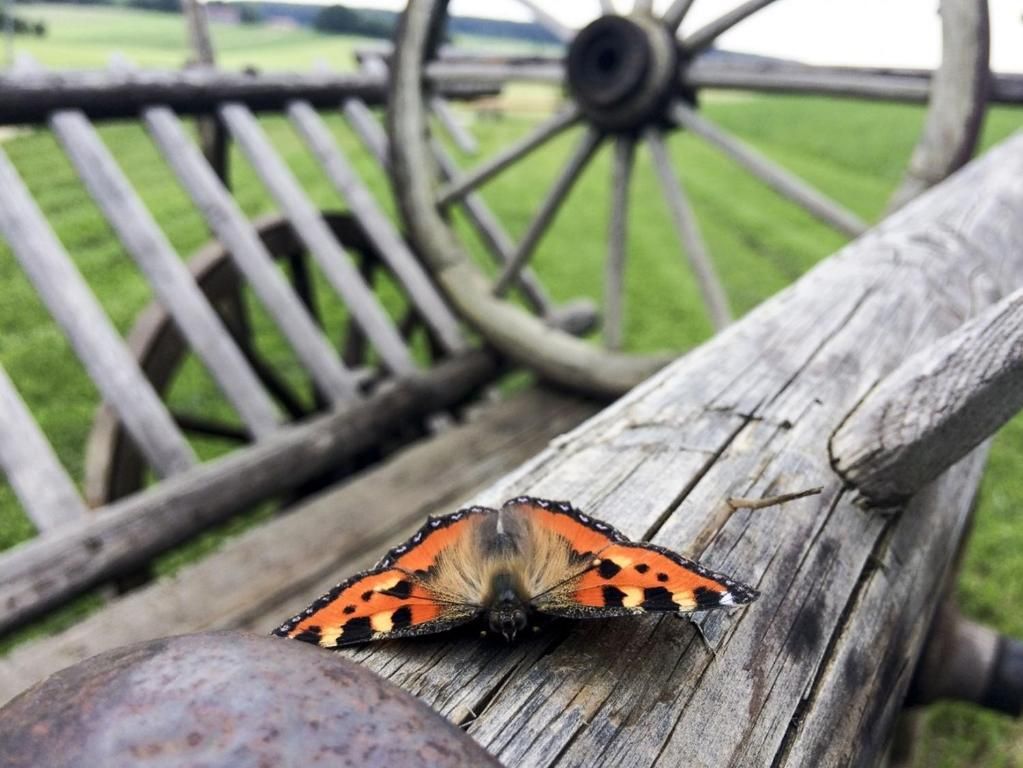 Ferienwohnungen Hof am Horn