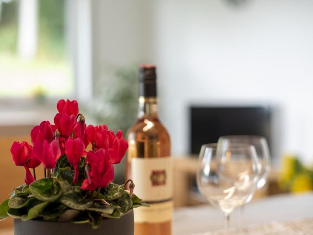 Ferienwohnungen Hof am Horn