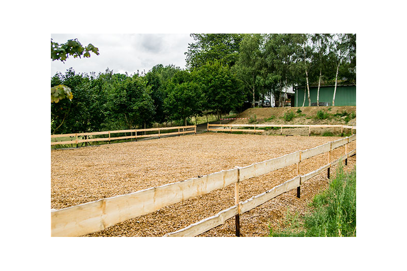 Steinäckerhof - Familienfreundlicher Bauernhof im Hunsrück