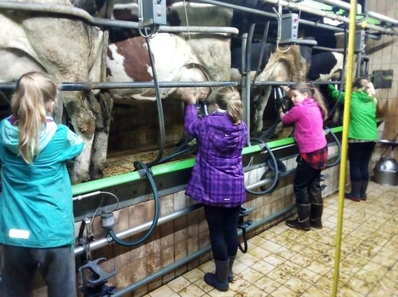 Steinäckerhof - Familienfreundlicher Bauernhof im Hunsrück