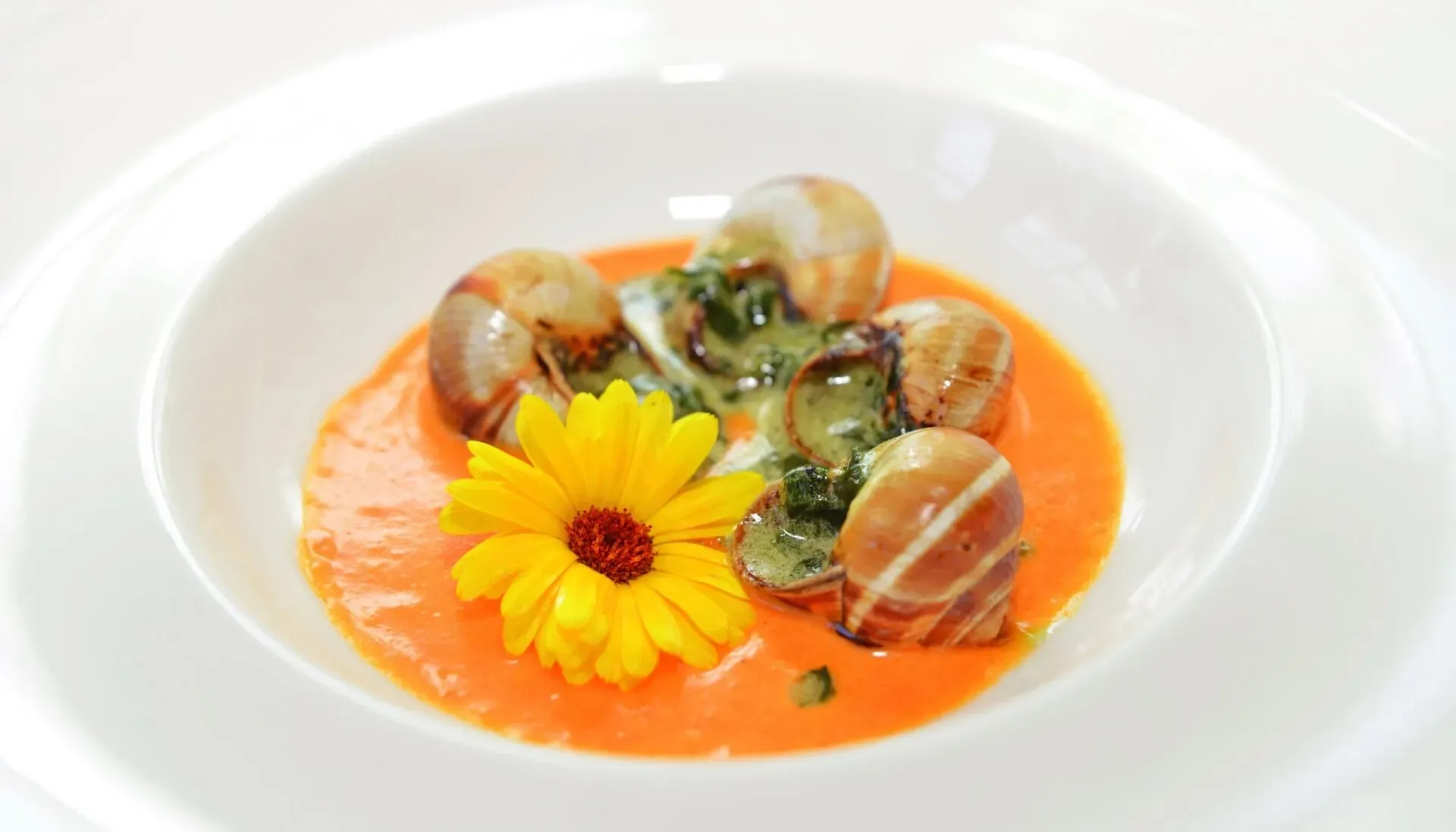 Naturhotel Wegelnburg