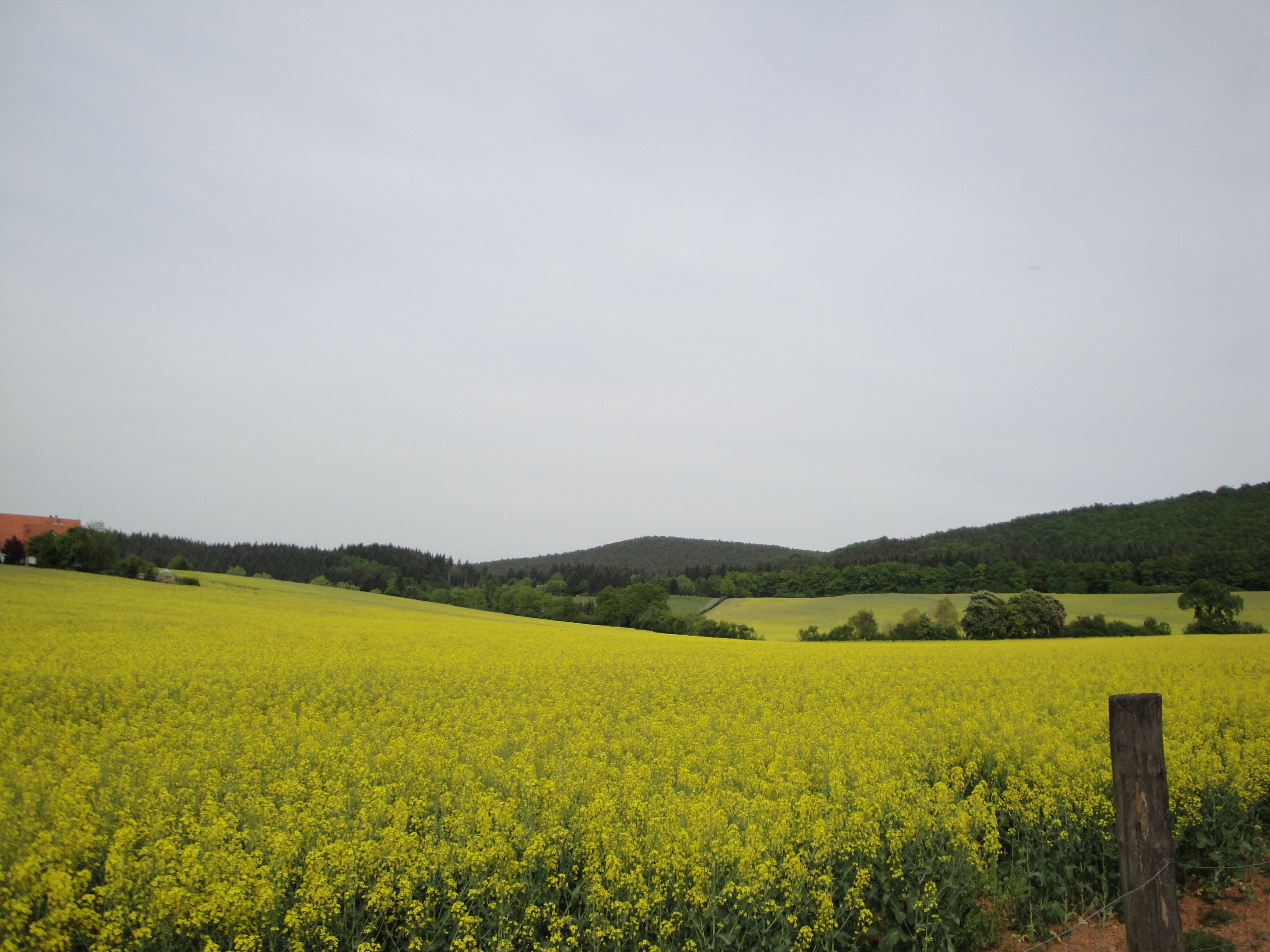Campingplatz Ochsenbusch Park