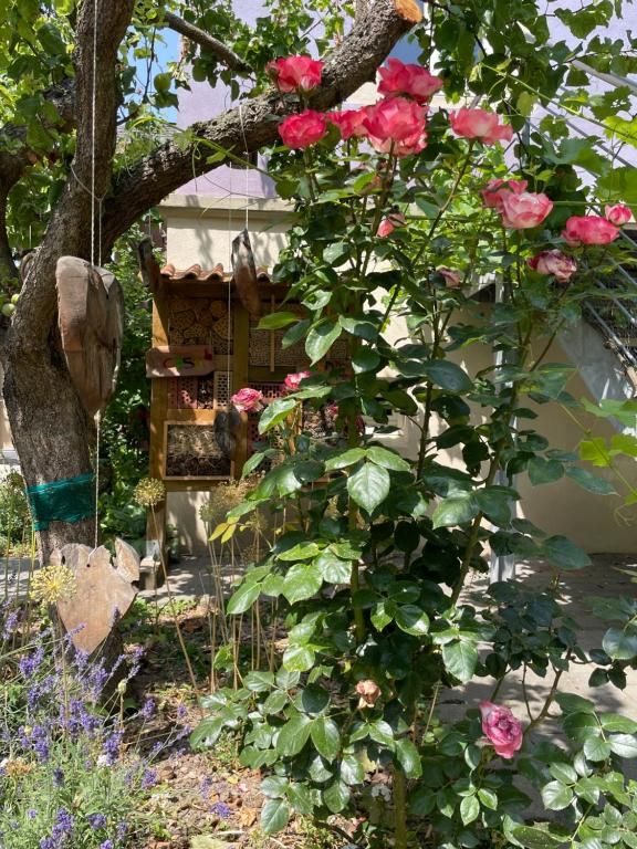 Boutique-Guesthouse Jugendstil-Hof