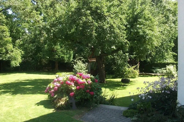 Blick in den Garten