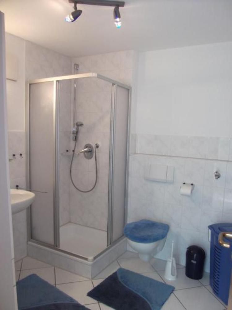 Im Grünen (kleine FeWo in Eriskirch)