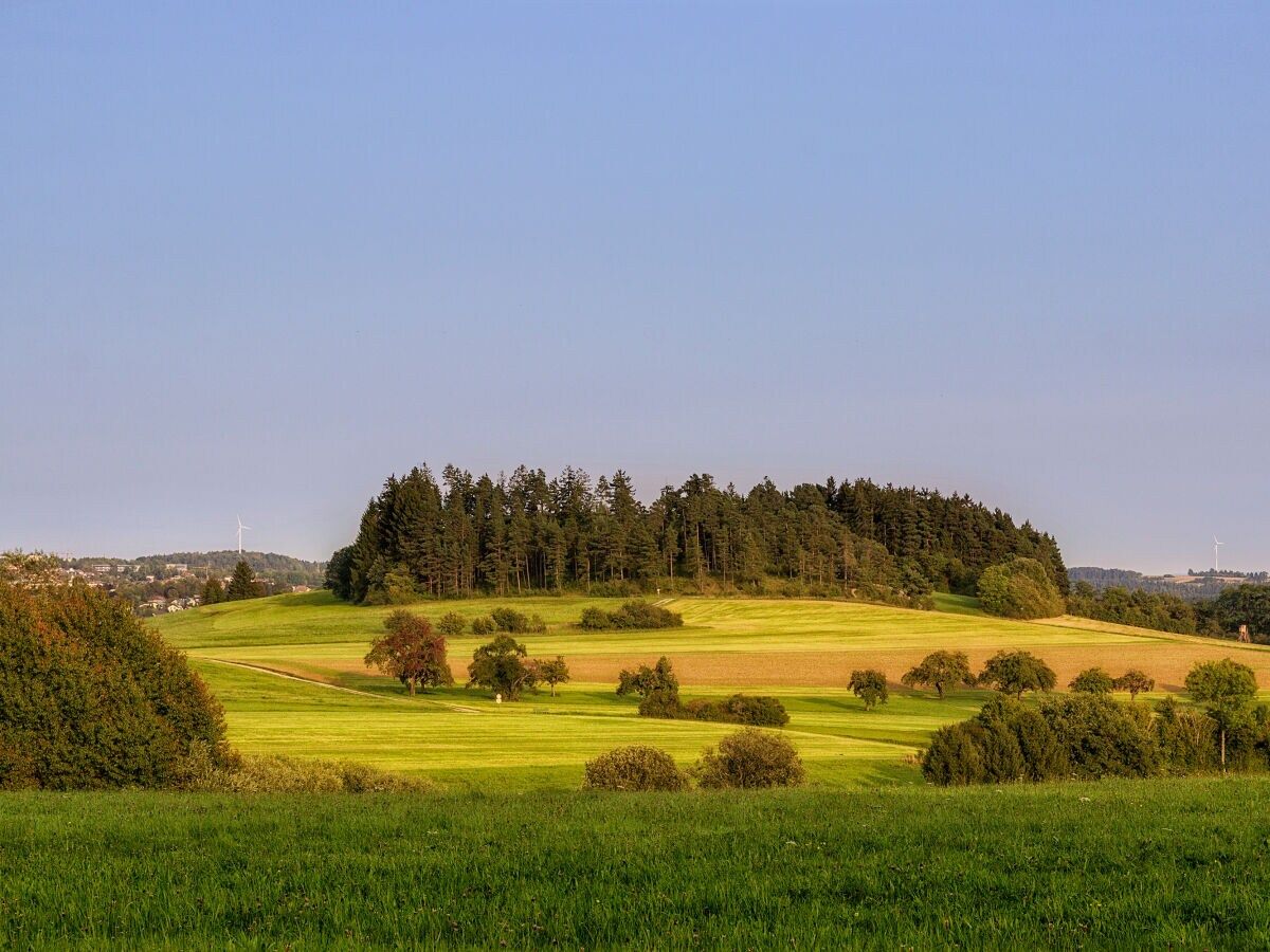 Ferienhaus Trollblume 2