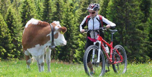 Gasthof zum Löwen Enzklösterle