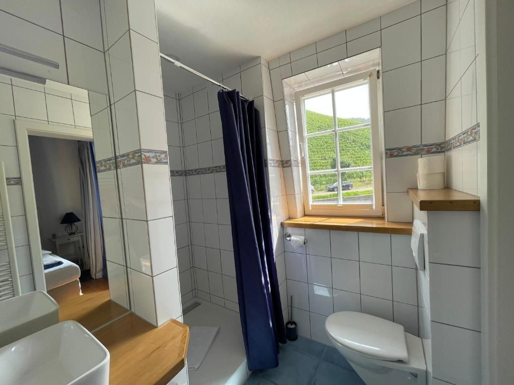 Mosel Ferienwohnung im Weingut Borchert – Springiersbacher Hof