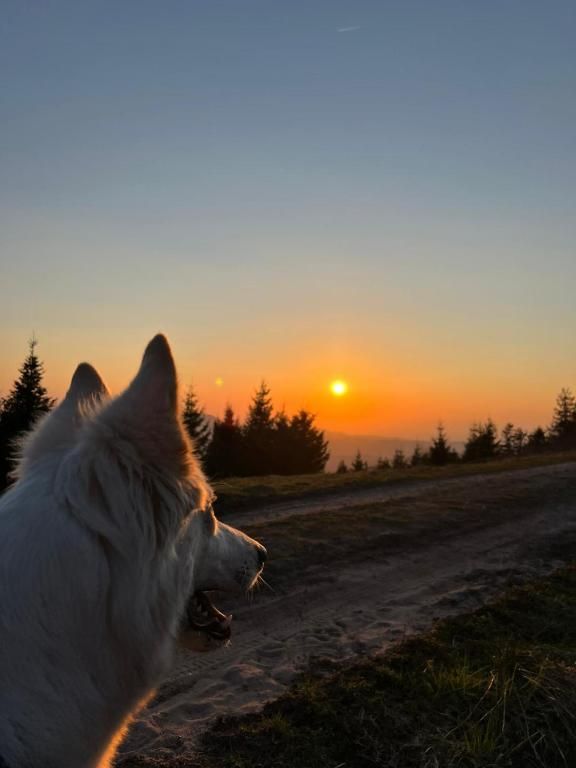 Ferienwohnung Tannenduft