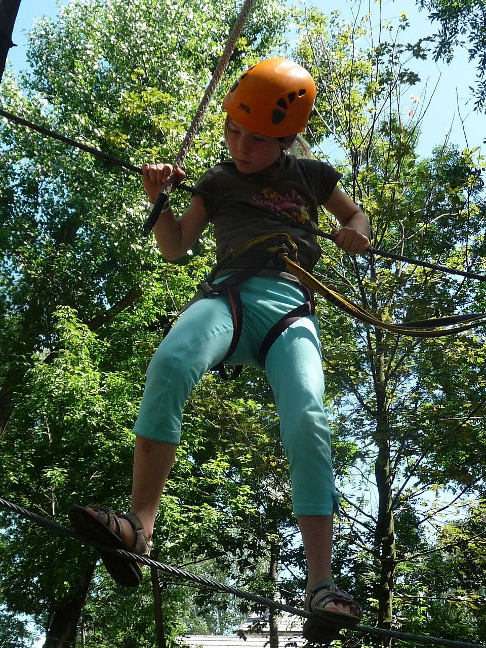 Kletterwald action forest