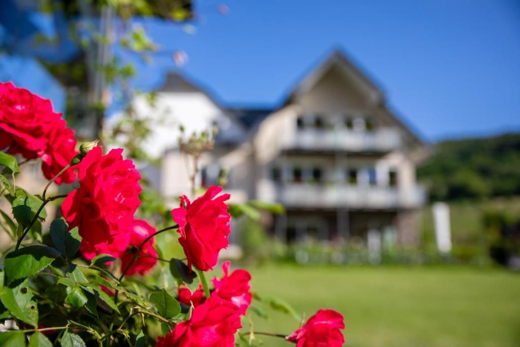 Gästehaus Weinbergs-Loge