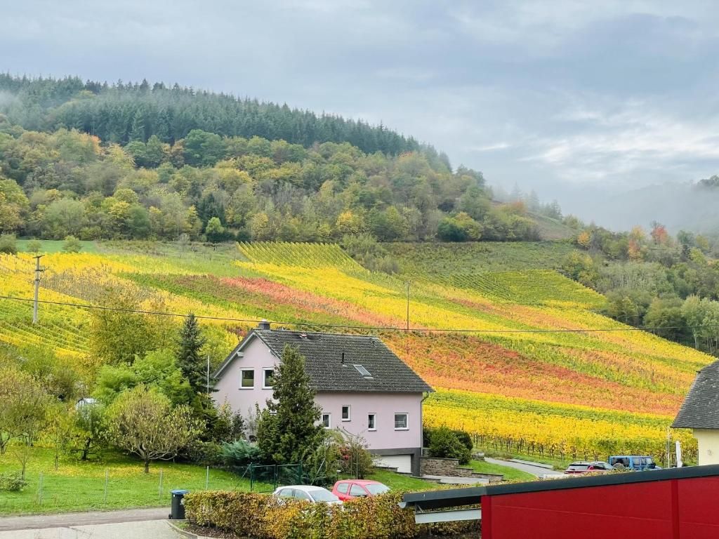 Gästehaus Weinbergs-Loge
