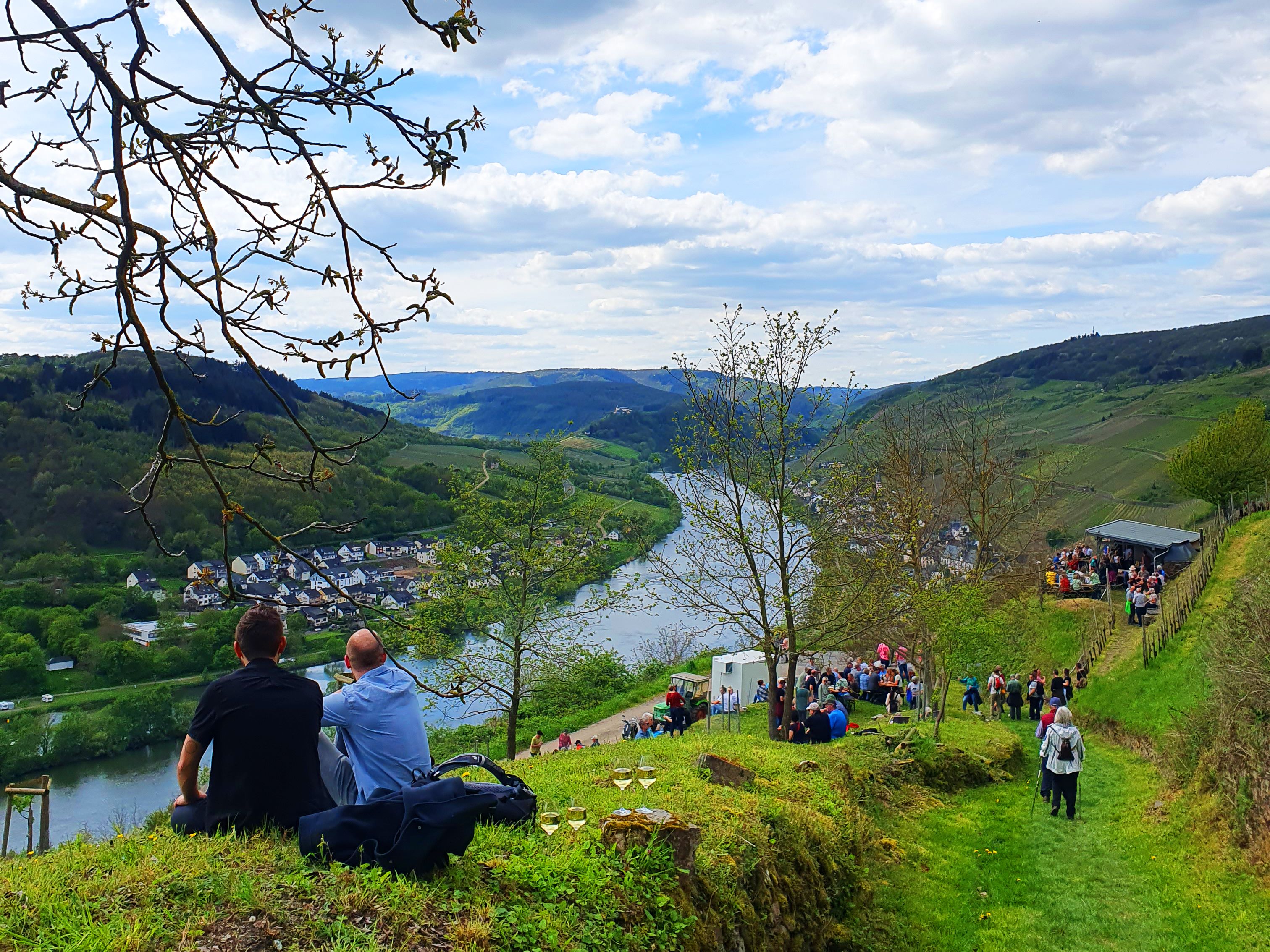 Waldecks Moselparadies in Traumlage ganz nah an der Mosel